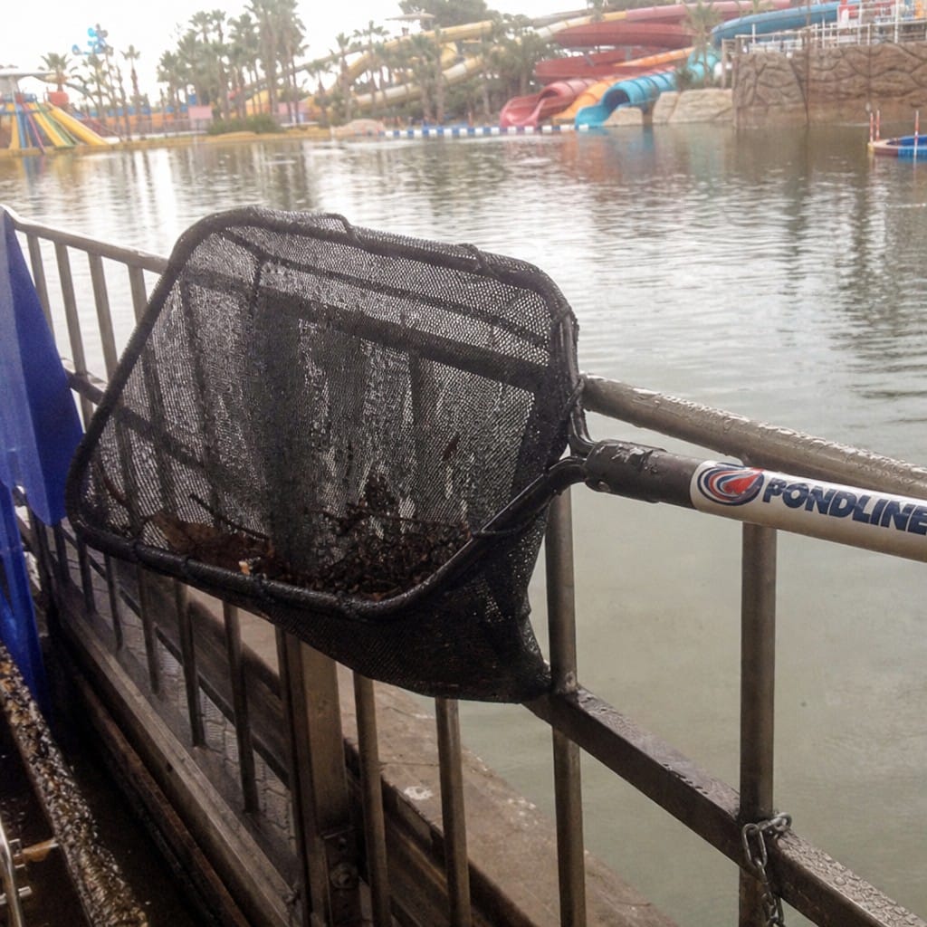 Customer photo review of Heavy Duty Pond Skimmer Net UK | Self-Repair Mesh | Long Handle | Leaves & Debris