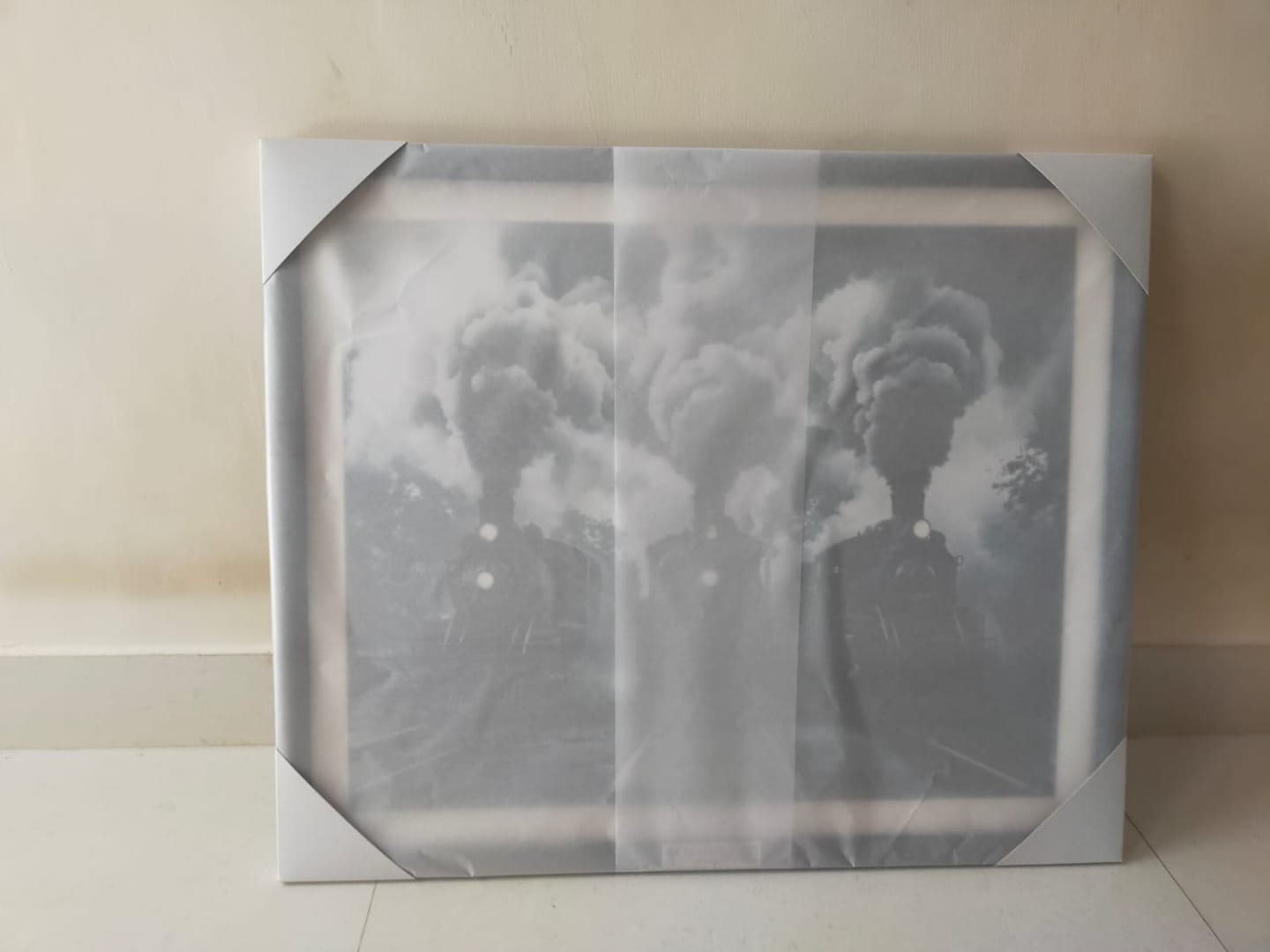 Customer photo review of Steam Giants