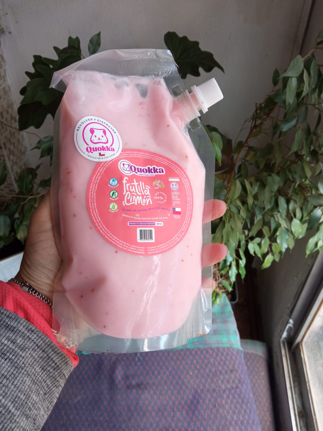 Customer photo review of Yogurt Vegano Frutilla Limón DoyPack 1x 1 Litro