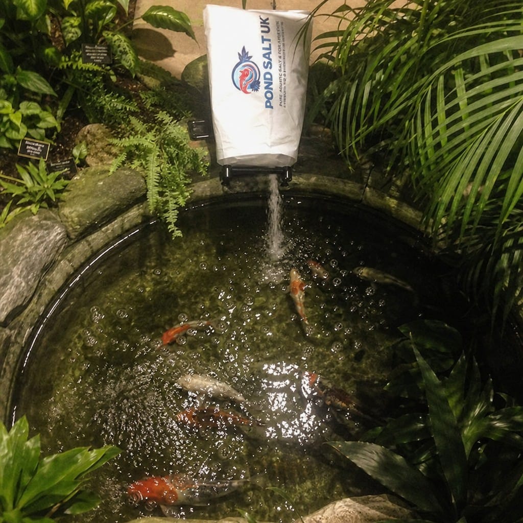 Customer photo review of Pond Salt UK | Pure Aquatic Salt for Koi & Goldfish | Reduces Stress | Aids Recovery
