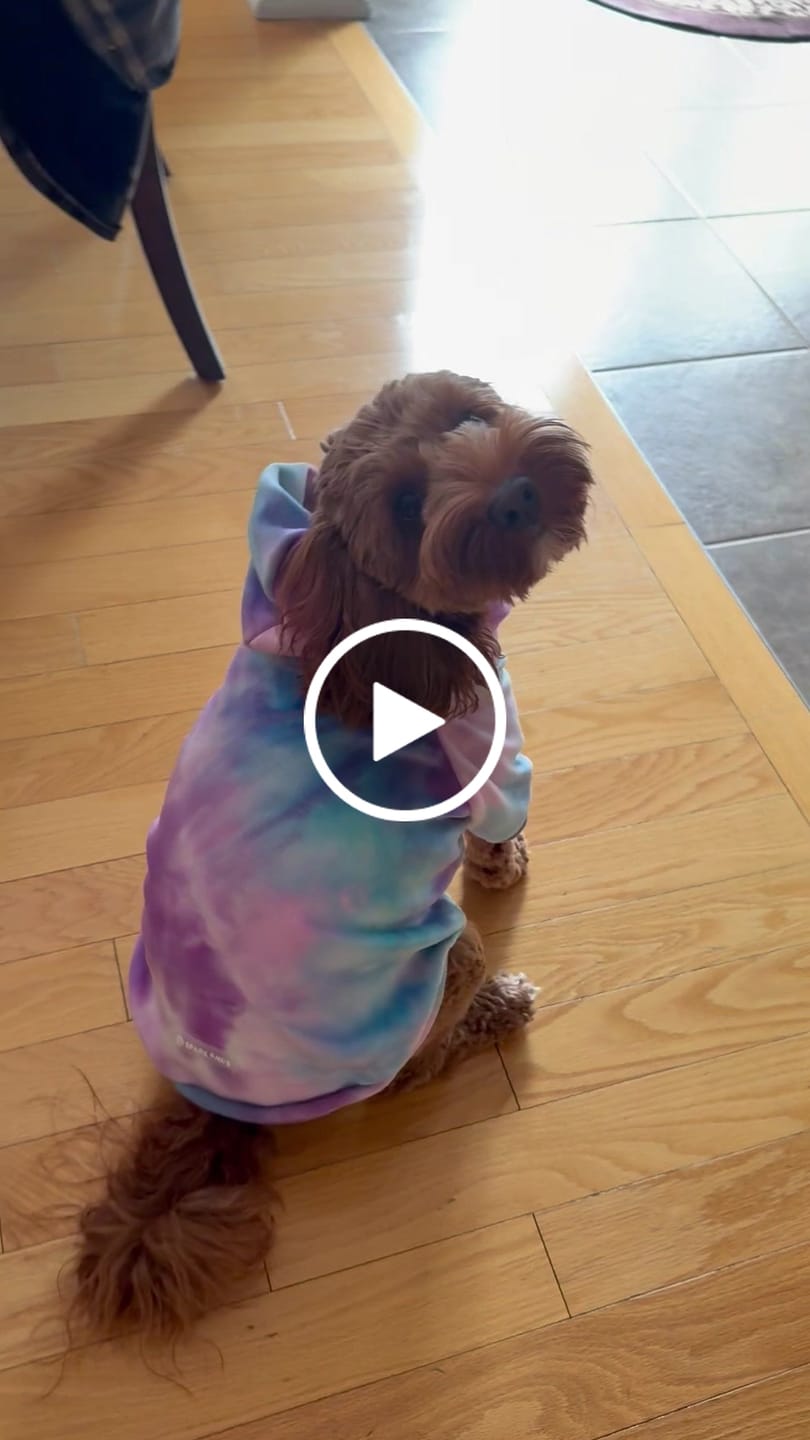 Customer video review of Velvet Dog Hoodie - 90s Retro