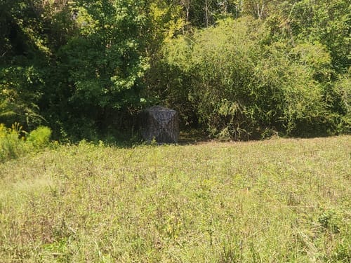 Customer photo review of VisTall 360 See-Through Ground Blind | 75-Inch 3 Person Pop Up Deer Blind with No-Trip Door | Portable Camo Hunting Blind with Blackout Curtain for Whitetail Deer Hunting