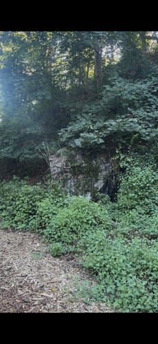 Customer photo review of VisTall 360 See-Through Ground Blind | 75-Inch 3 Person Pop Up Deer Blind with No-Trip Door | Portable Camo Hunting Blind with Blackout Curtain for Whitetail Deer Hunting