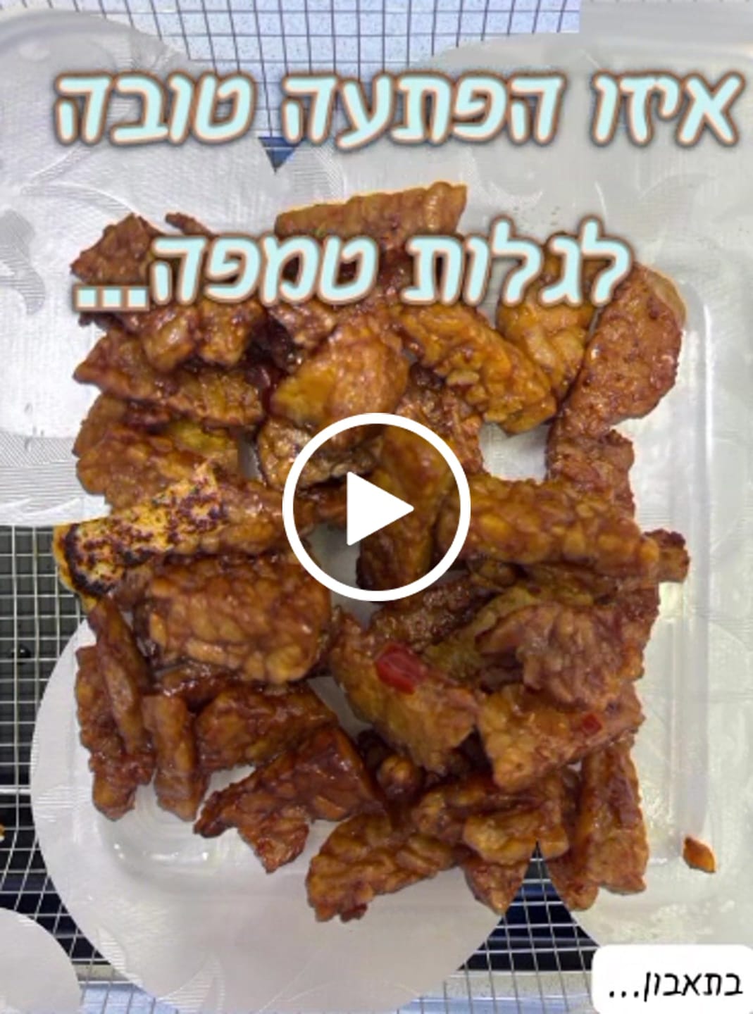 Customer video review of Traditional Tempeh
