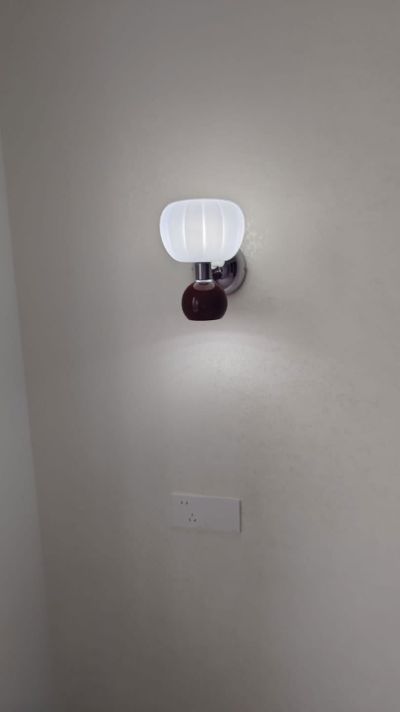 Customer photo review of Chrome Wall Light, Matte Shade, Hardwired Wall Sconce, 16 cm