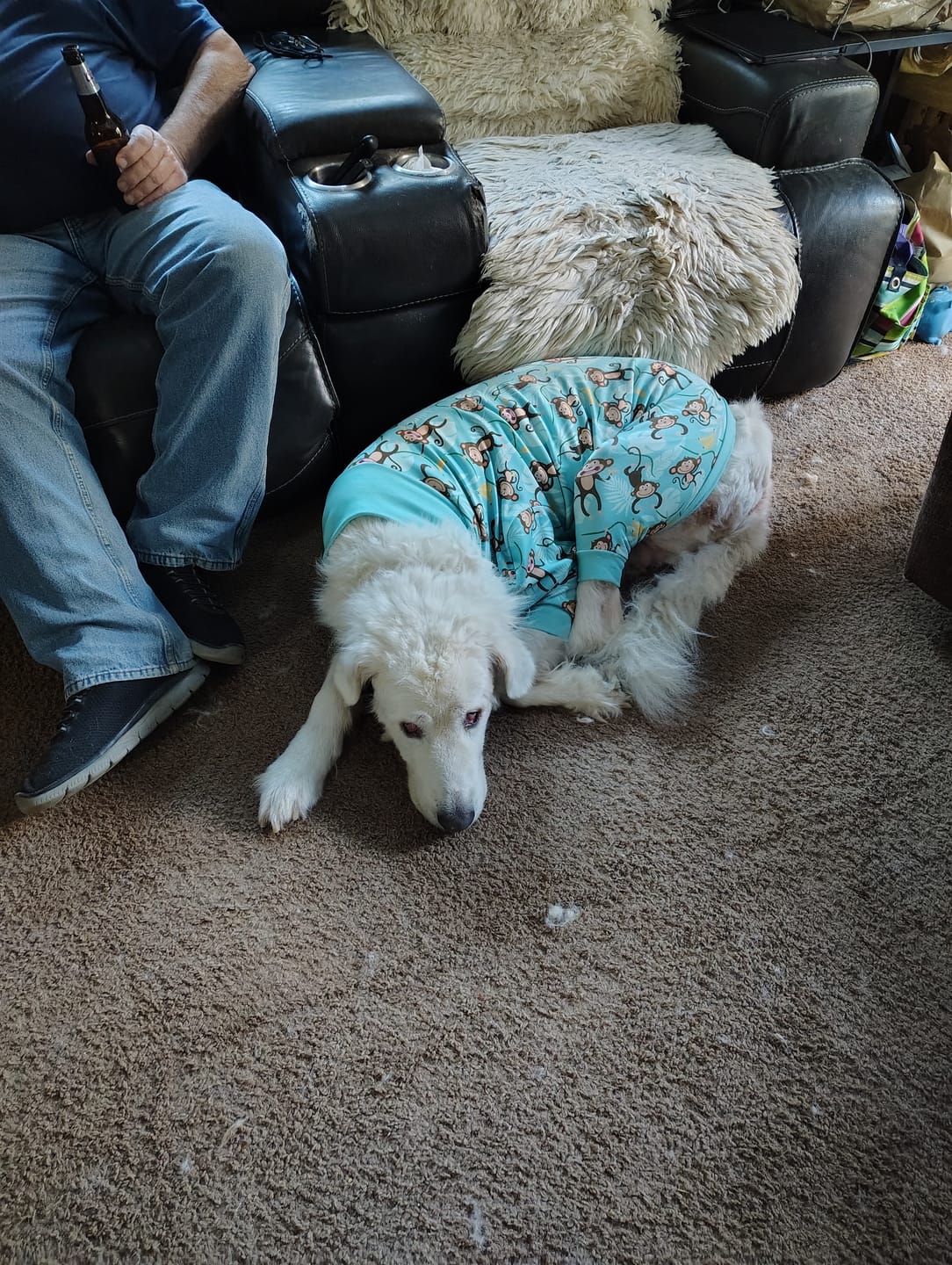 Customer photo review of Dog Pajama - Monkey Business