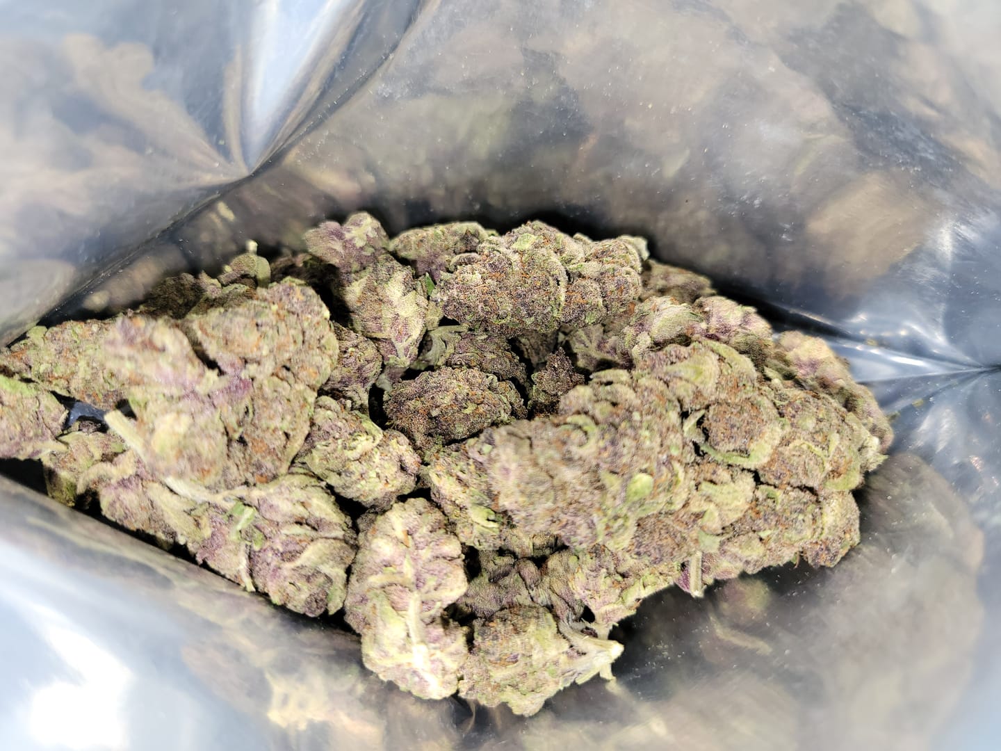 Customer photo review of Cheap THCA Flower Ounce
