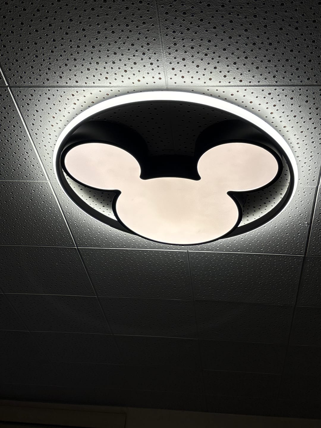 Customer photo review of Dimmable Modern Mickey Design LED Flush Ceiling Light