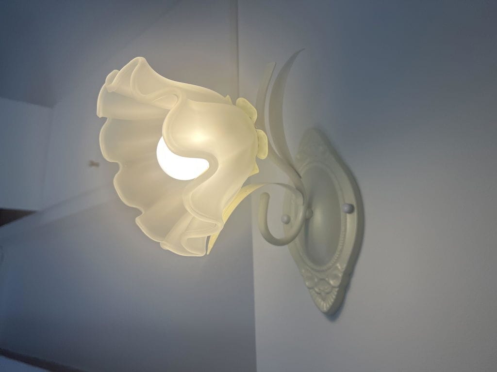 Customer photo review of Glass Flower Wall Light, Iron Backplate, Wall Sconce