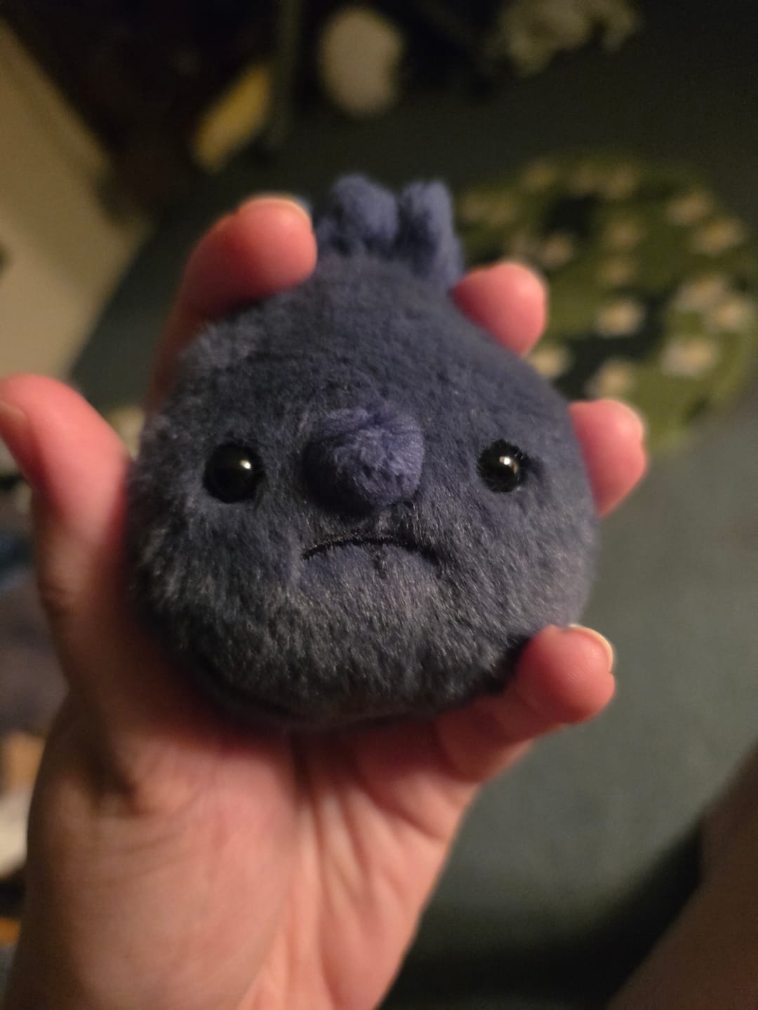Customer photo review of Forgotten Single Blueberry