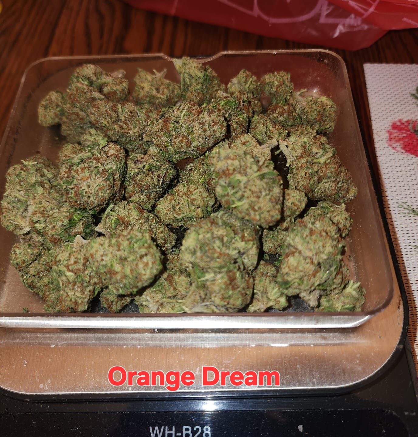 Customer photo review of Orange Dream THCA Flower