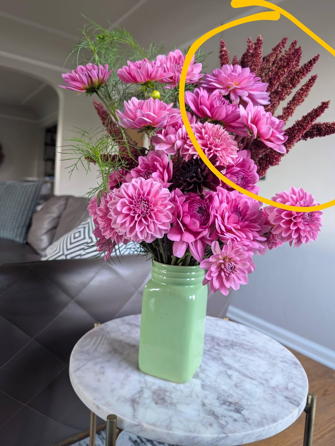Customer photo review of Amaranthus Seeds - Pygmy Torch