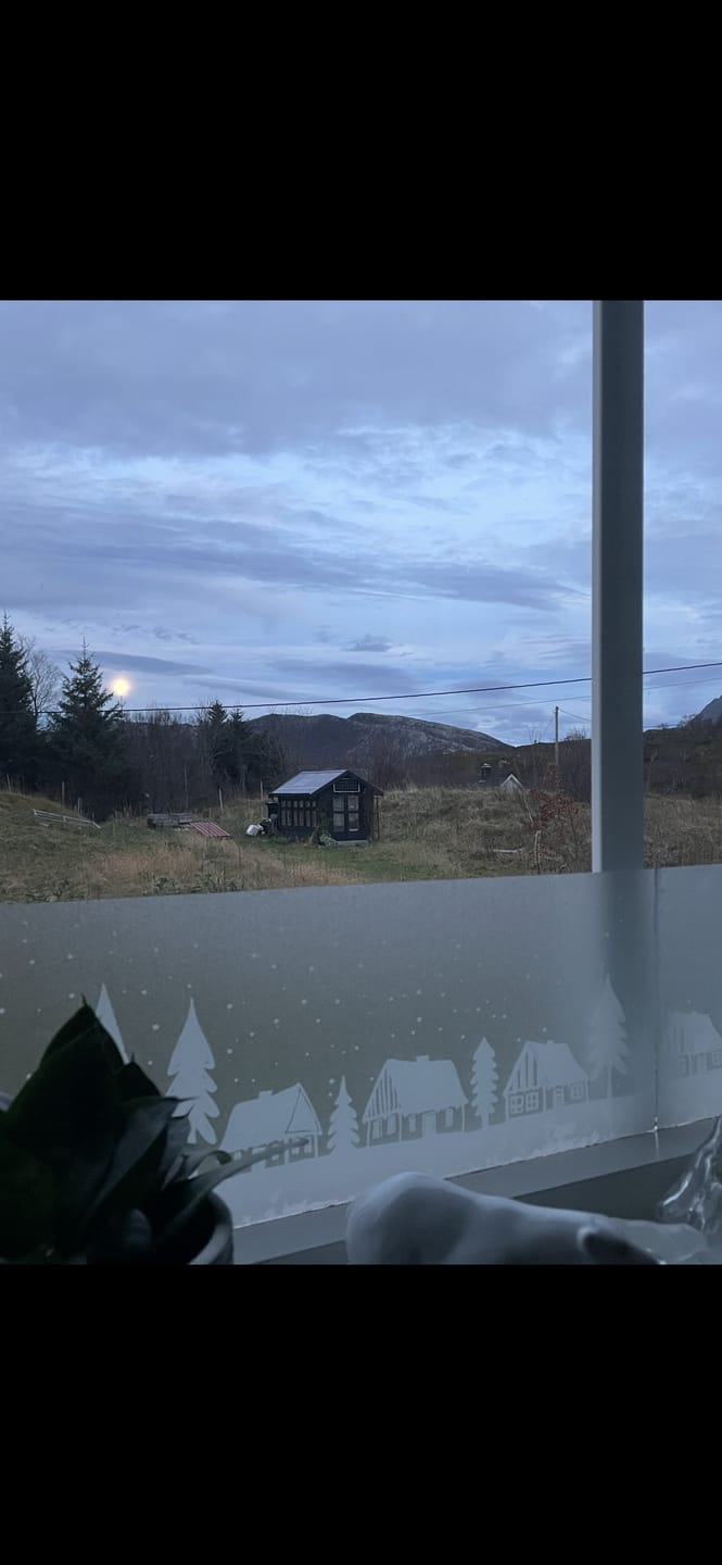 Customer photo review of Limited Static Winter town vindusfolie 20 cm x 1,5 m
