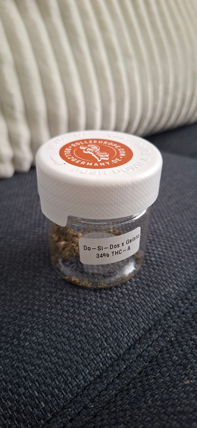 Customer photo review of THC-A 34% Blüten Do-Si-Dos x Gelato
