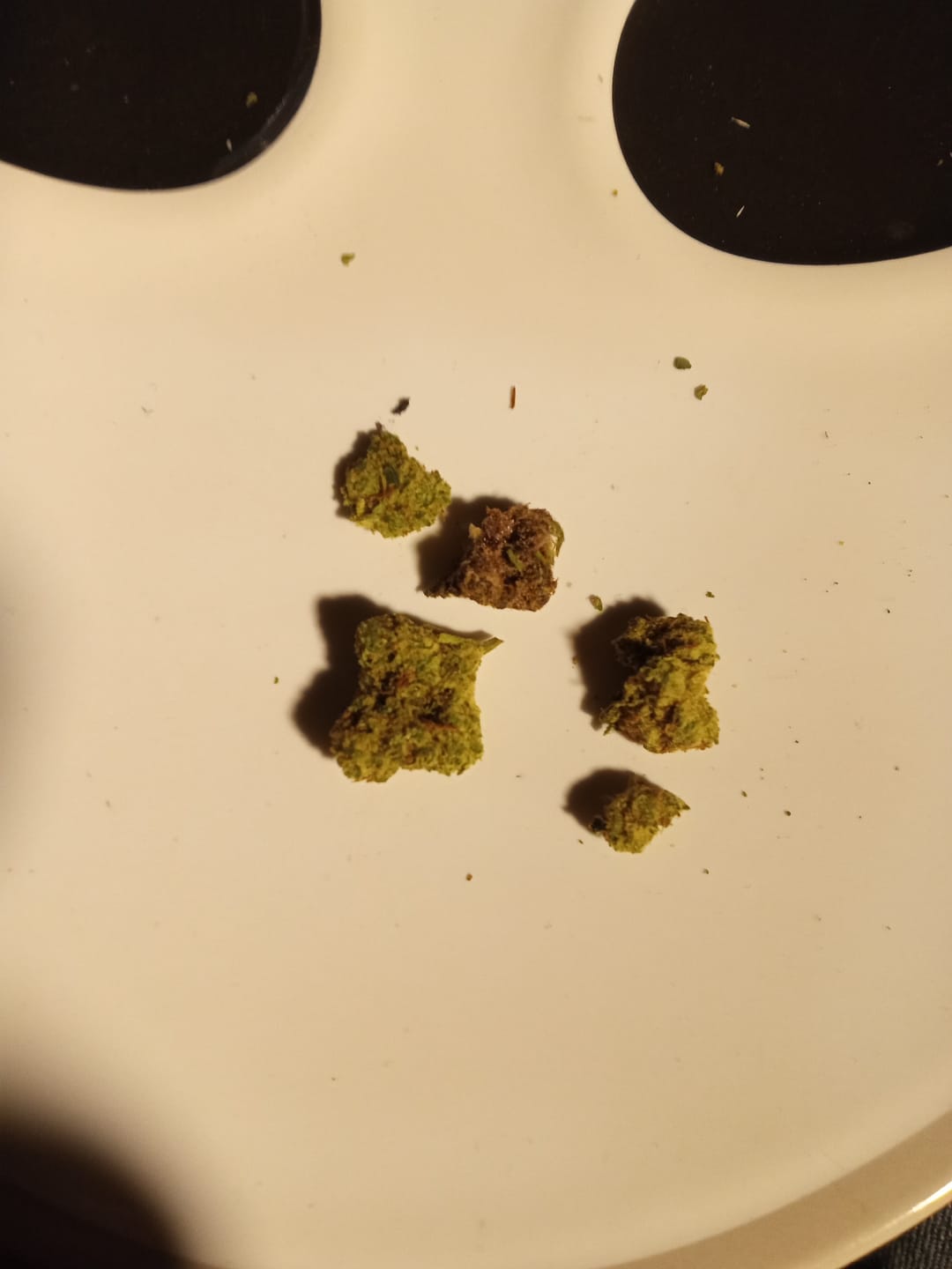 Customer photo review of Gorilla Glue THCA Flower