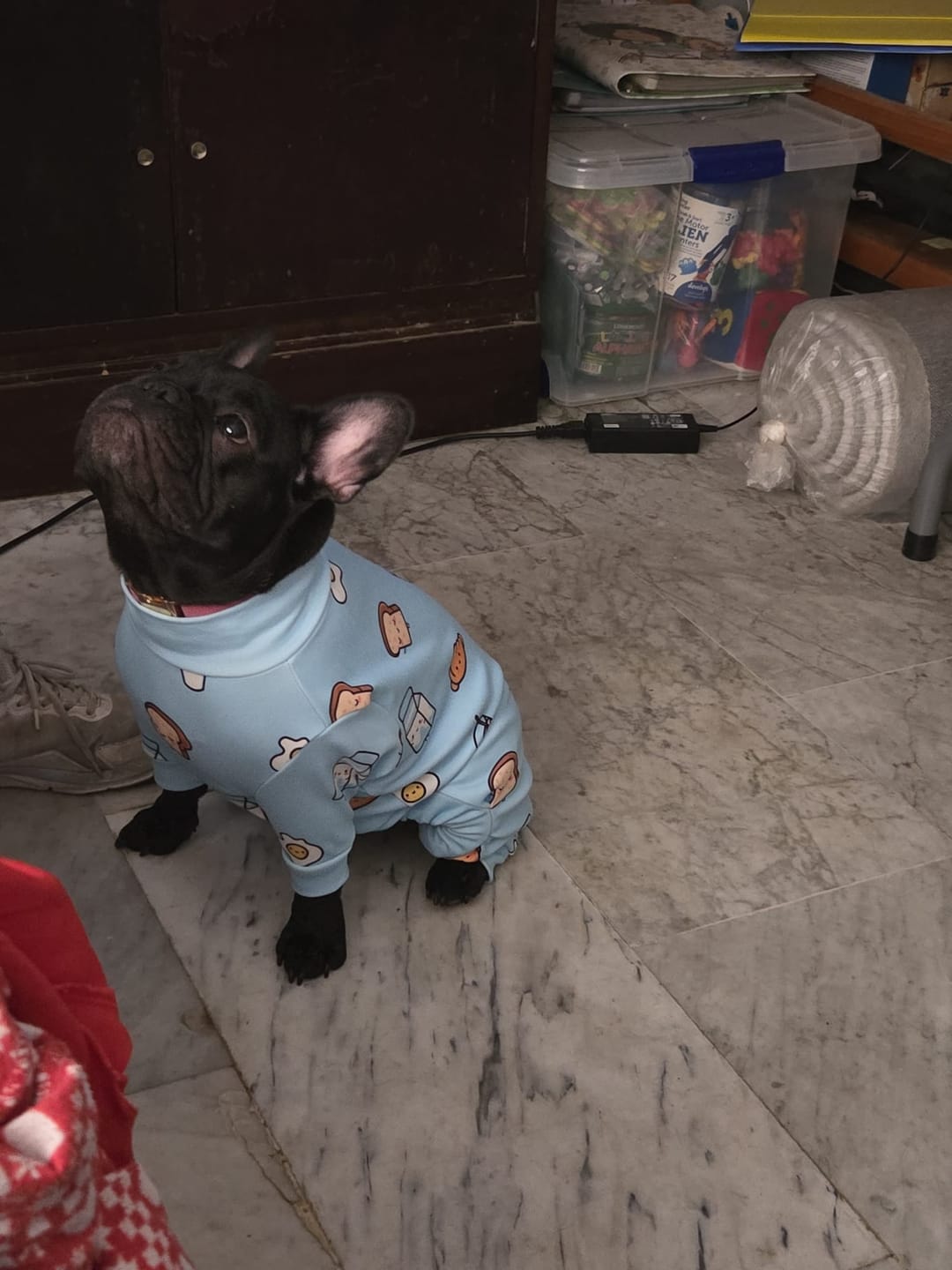 Customer photo review of Dog Pajama Prints