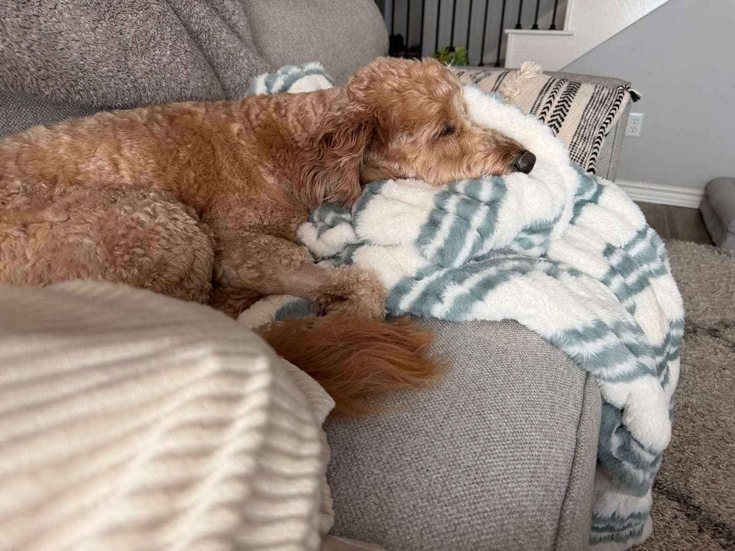 Customer photo review of Hugs French Stripe Blanket