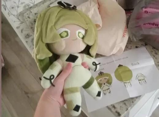 Customer photo review of Game Character Plush