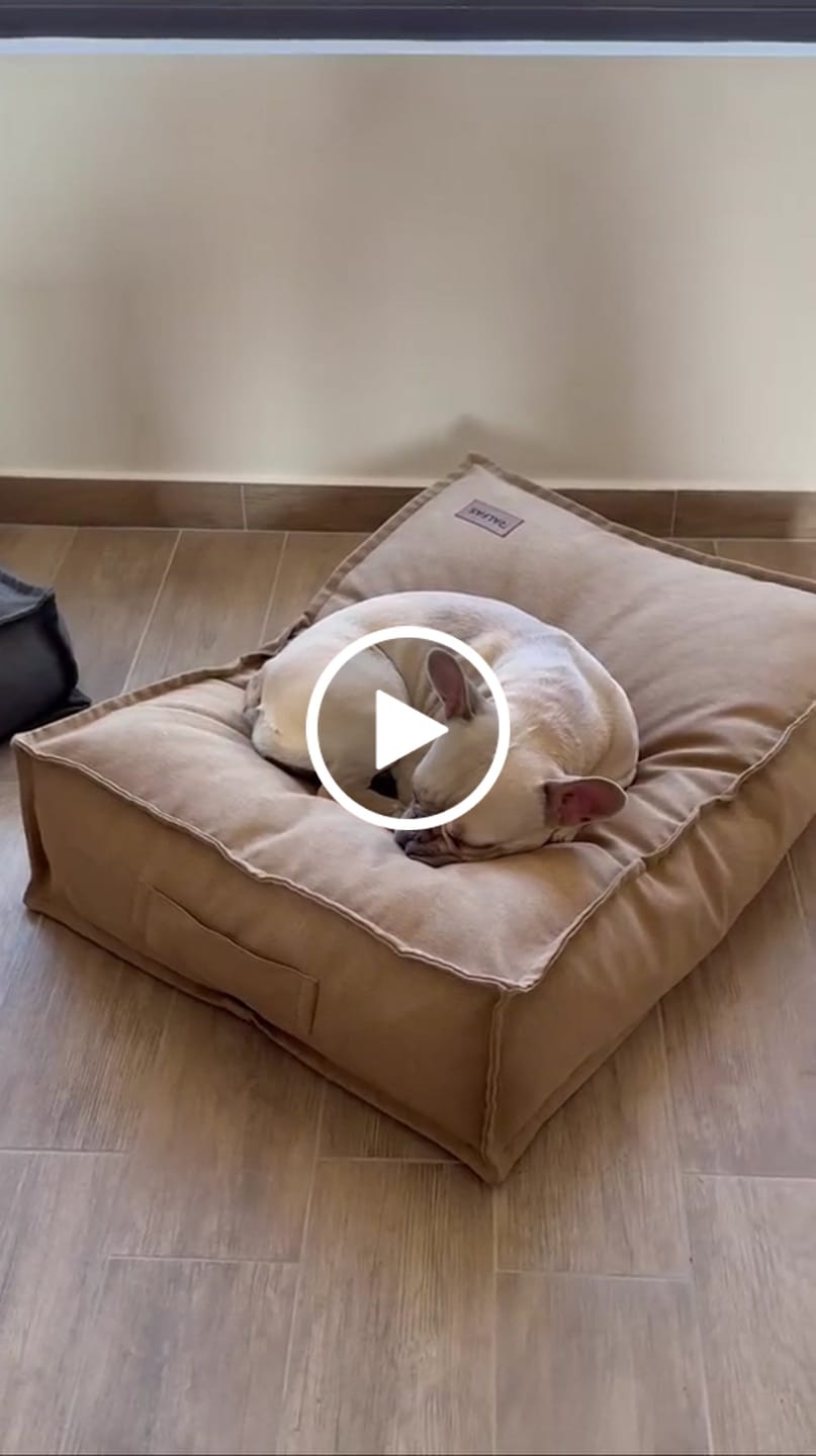 Customer video review of Cama Nora Canela