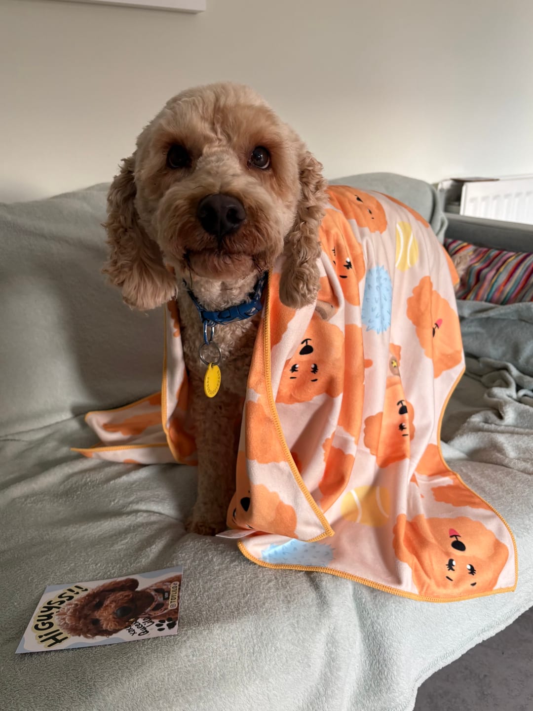 Customer photo review of Quick Drying Towel - Curly Club