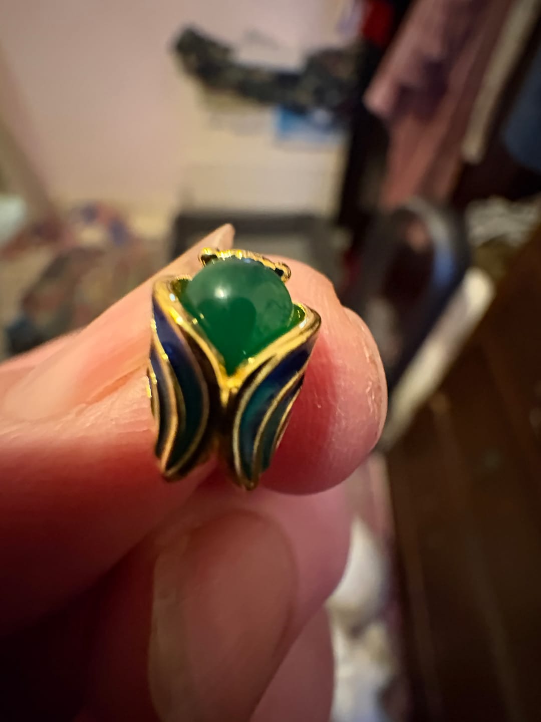 Customer photo review of Women Ethnic Enamel Jade Golden Cicada Earring