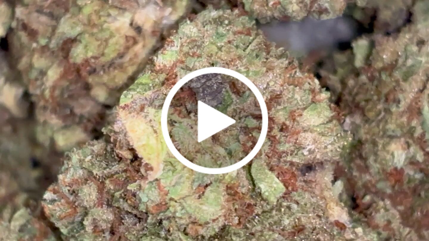 Customer video review of Cheap THCA Smalls Ounce