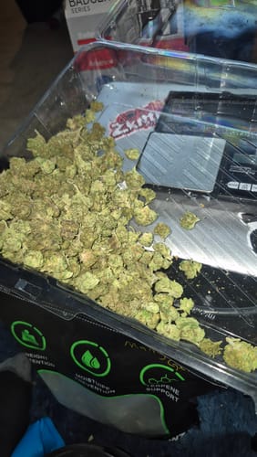 Customer photo review of Light Assist THCA Smalls