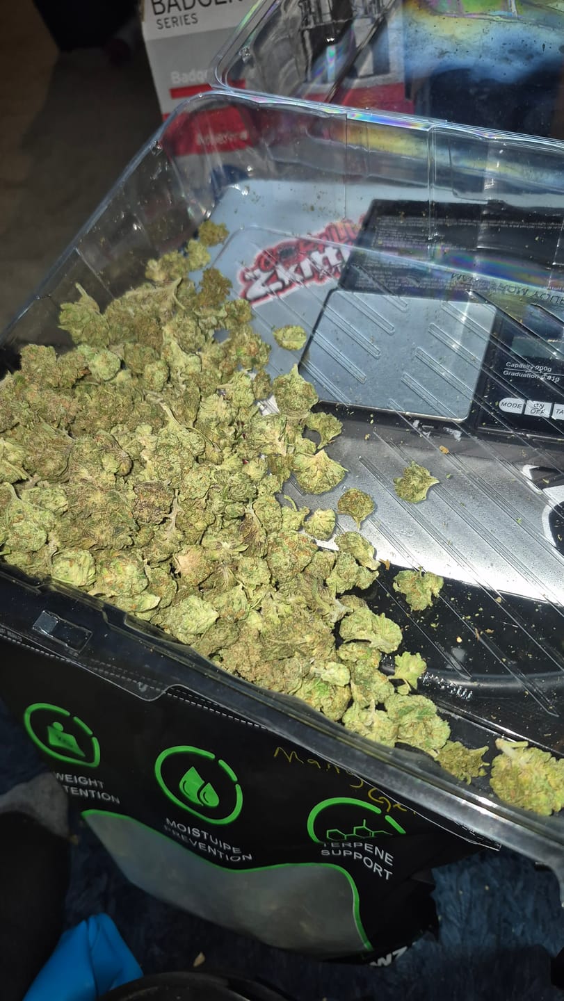 Customer photo review of Light Assist THCA Smalls