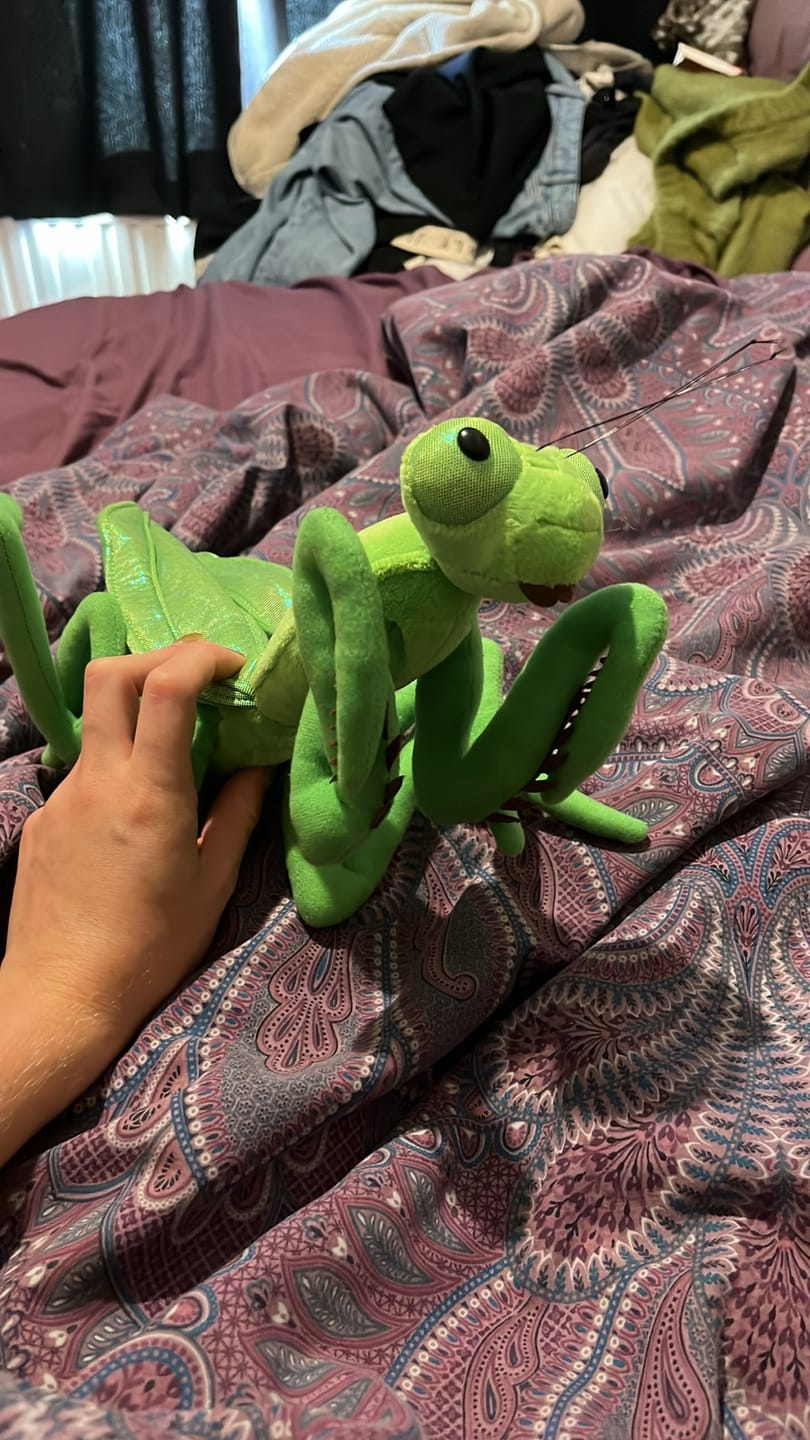 Customer photo review of Green Chinese Mantis Soft Stuffed Plush Toy