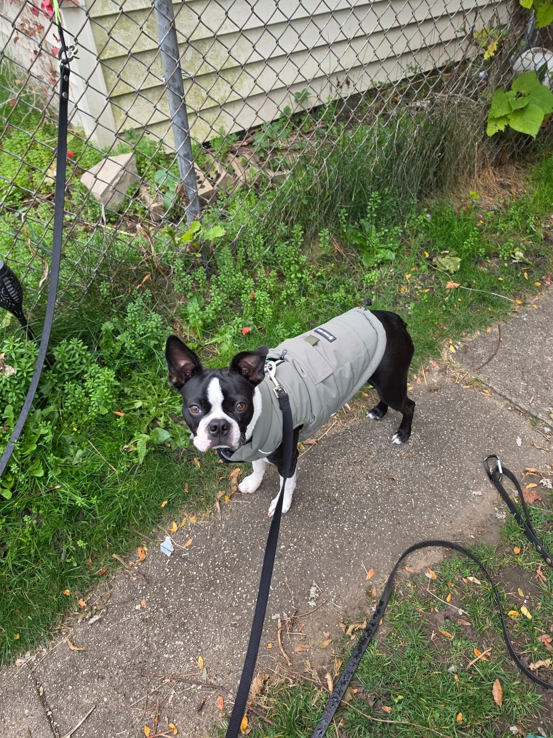 Customer photo review of WarmShield Water-Resistant Jackets