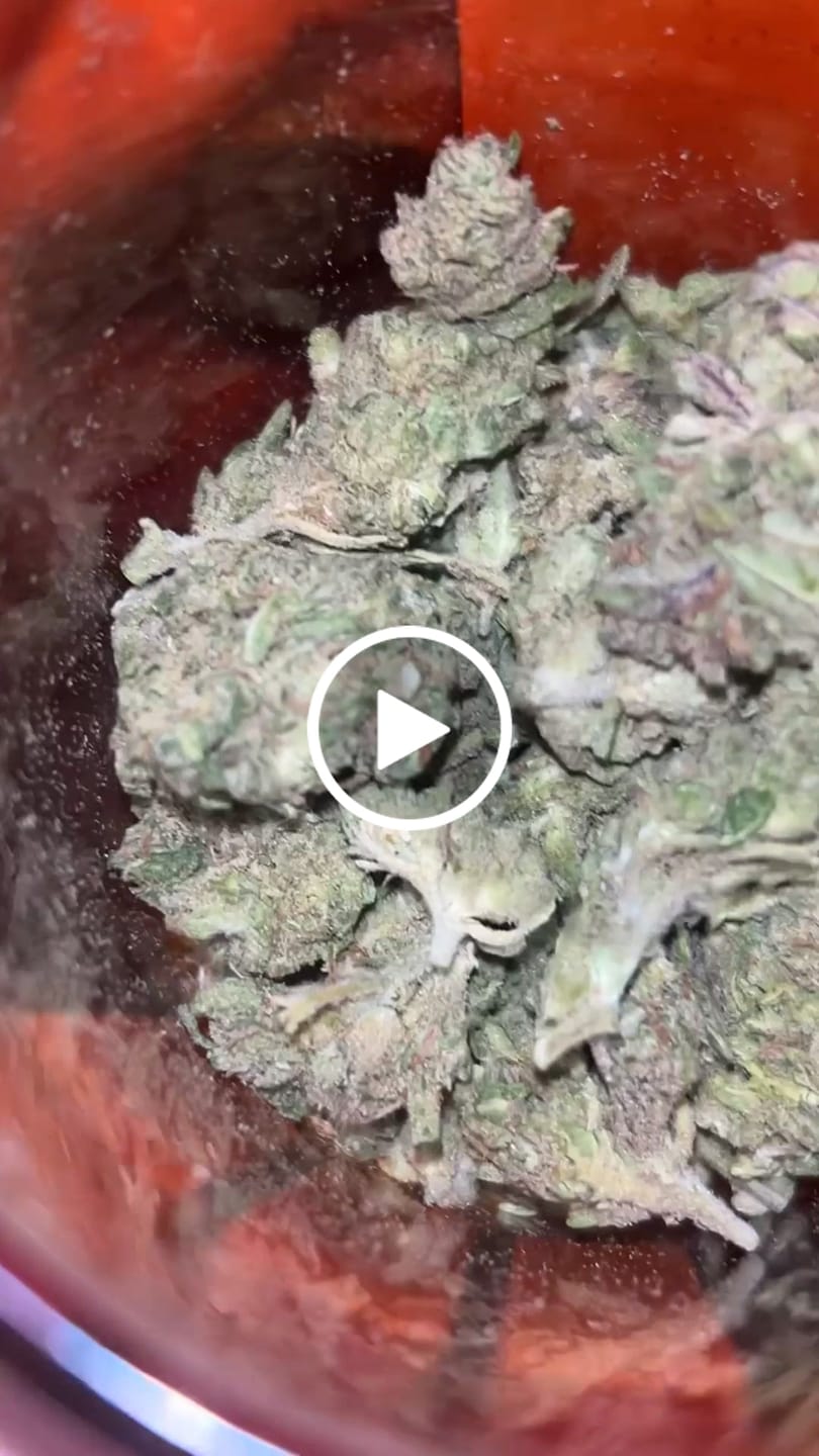 Customer video review of THCA Queen