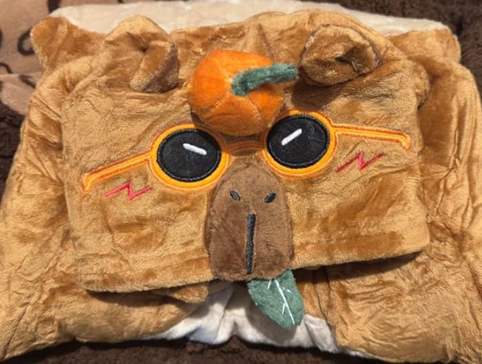 Customer photo review of Kids OLAOLA Capybara Wearable Blanket Hoodie Oversized Animal Hooded Blanket Soft Warm Cozy Sherpa Fleece Sweatshirt