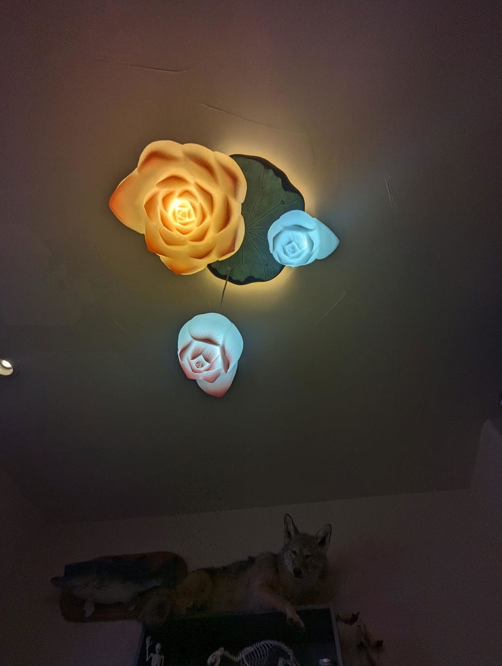 Customer photo review of Pink and White Petal Pendant Light, Chandelier, Integrated LED