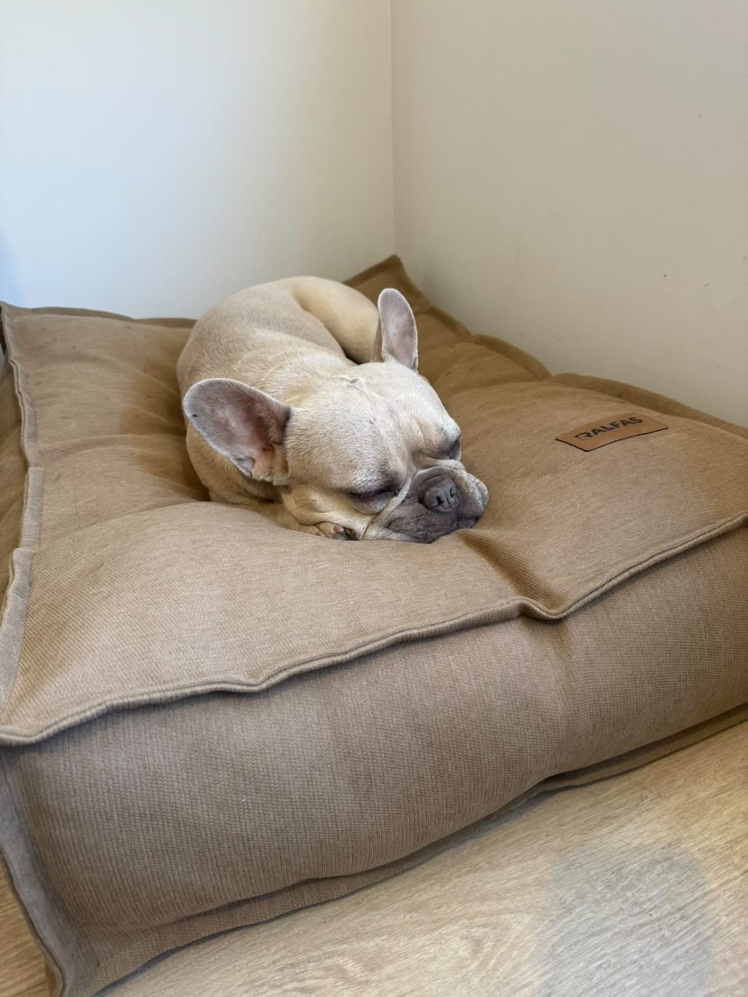 Customer photo review of Cama Nora Canela