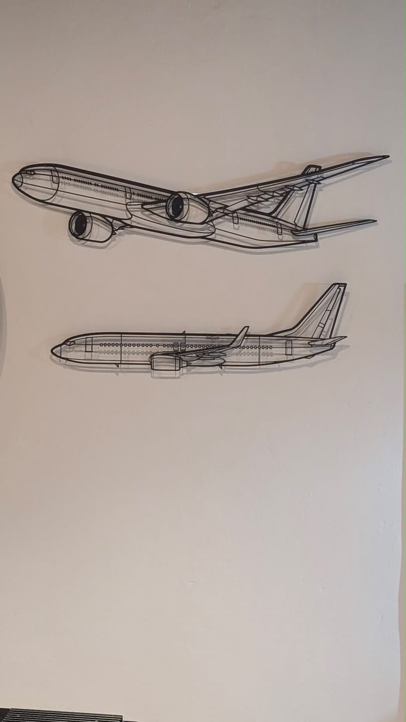 Customer photo review of 737-800 Silhouette Metal Wall Art