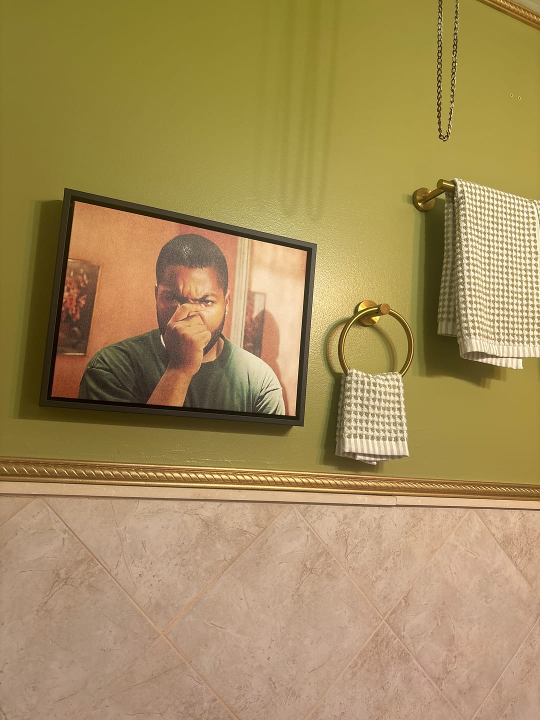 Customer photo review of Ice Cube Friday Bathroom Scene