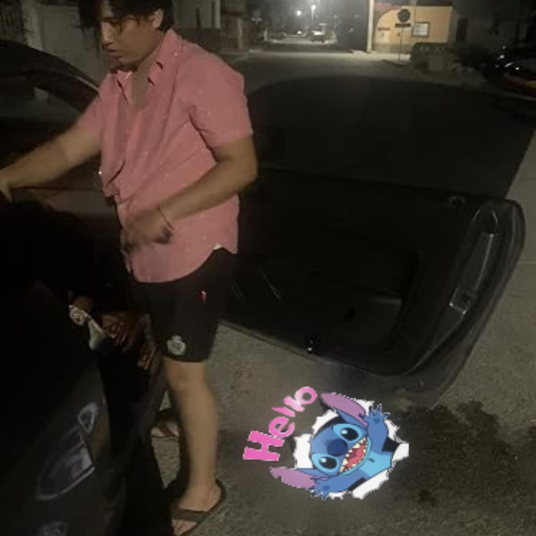 Customer photo review of Stitch Welcome Light Car Door
