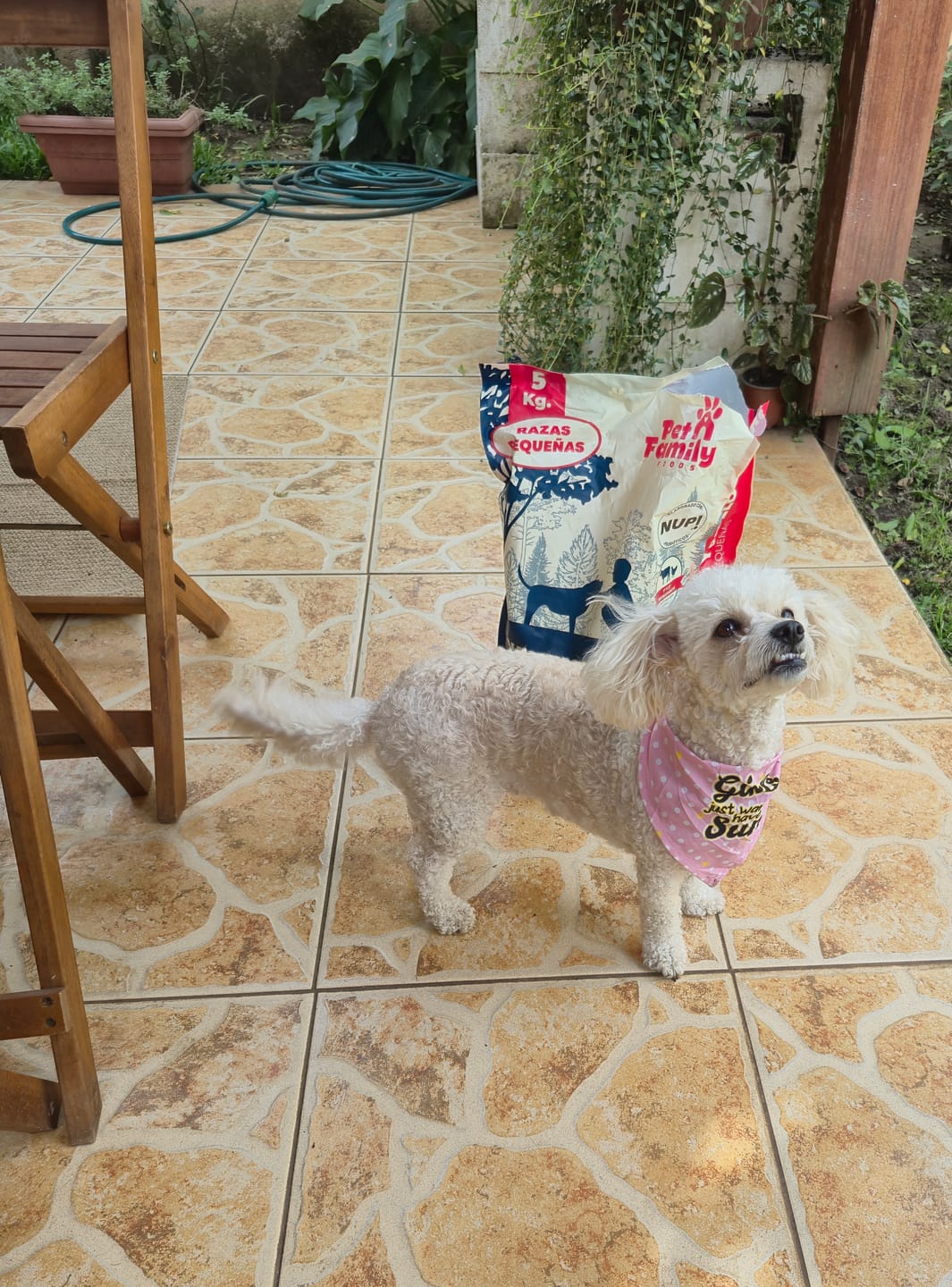 Customer photo review of PetFamily Foods Razas Pequeñas