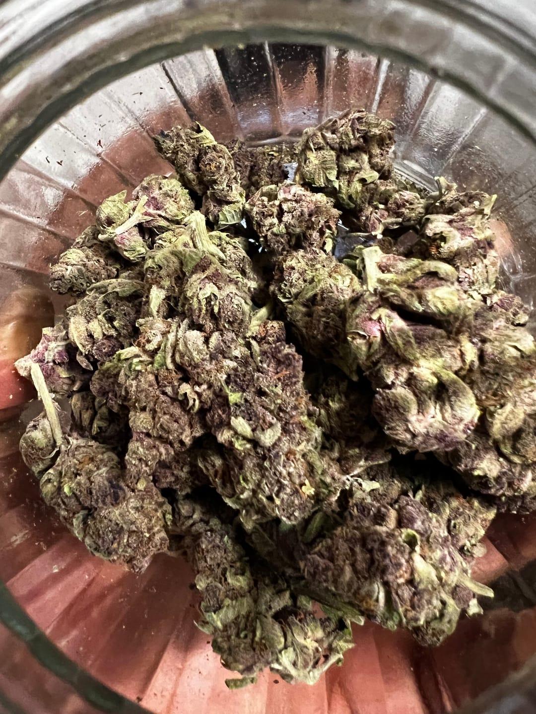 Customer photo review of Blue Gelato THCA Flower