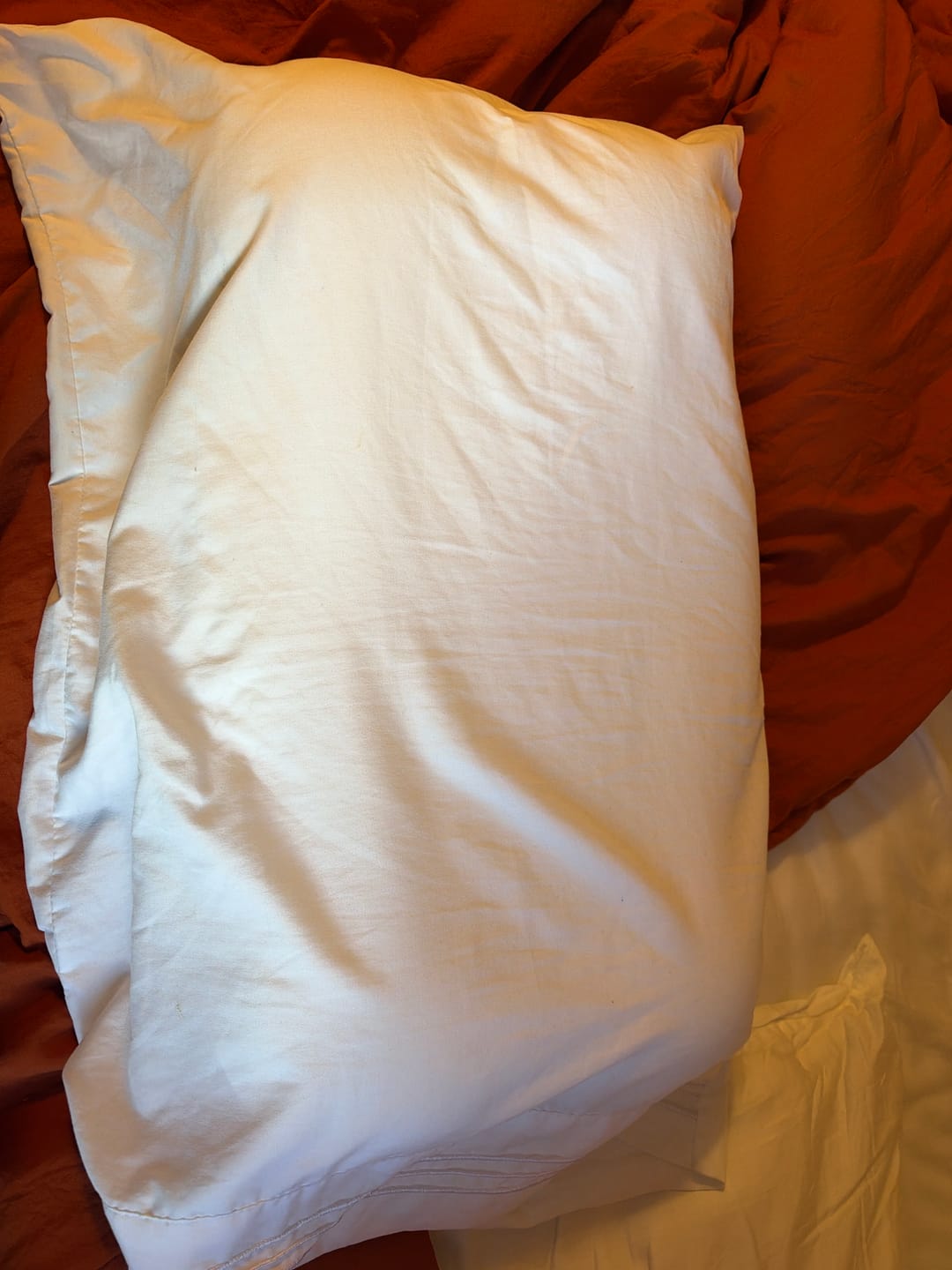 Customer photo review of CloudAlign Pillow