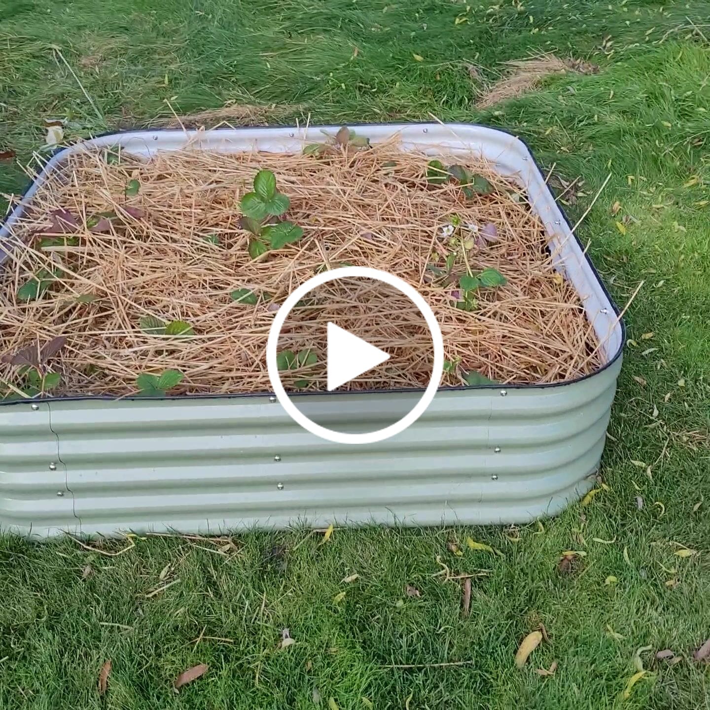 Customer video review of 17” Tall Modular 9 in 1