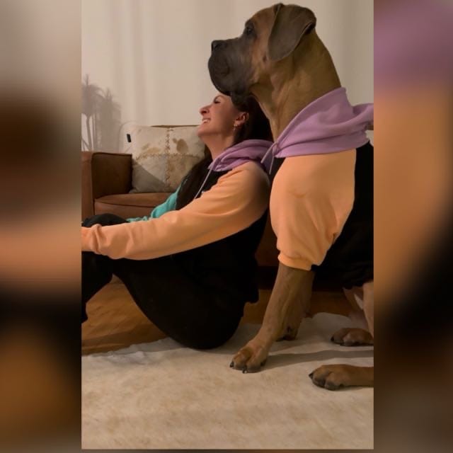 Customer photo review of Color Block Dog Hoodies