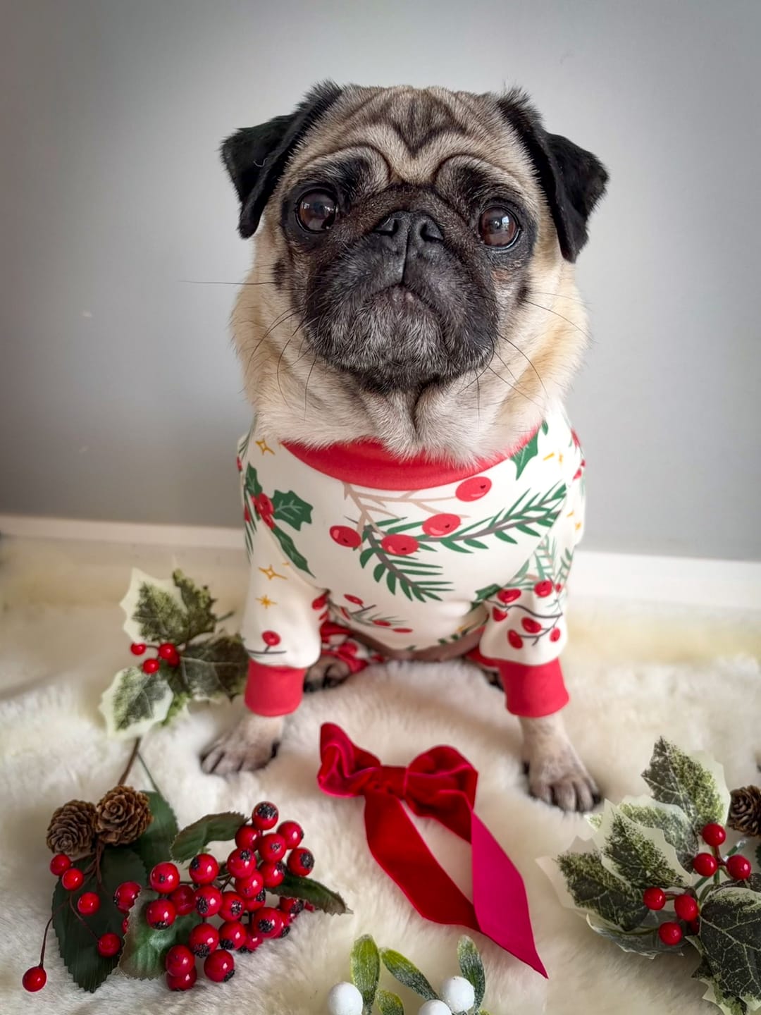 Customer photo review of Dog Christmas Pajama - Mistletoe