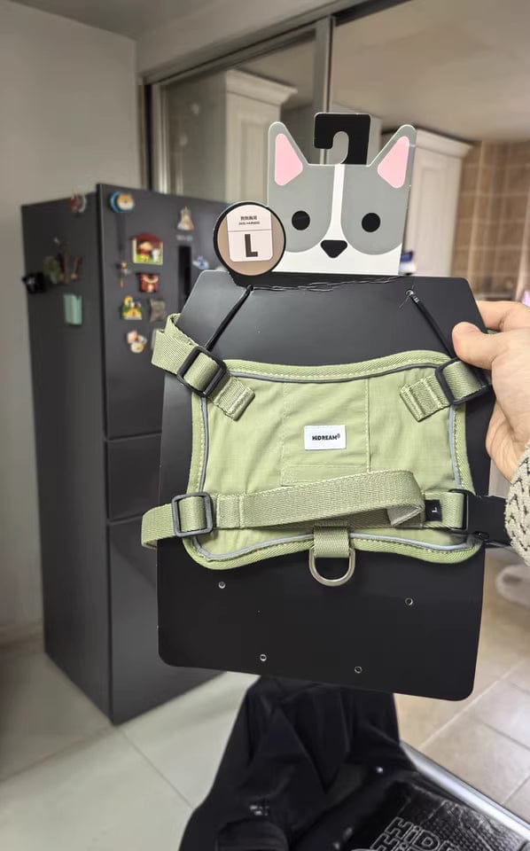 Customer photo review of Valora 2-Second Easy-Fit Harness with Anti-Choke Position-Limit & Locator Pocket
