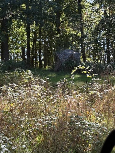 Customer photo review of VisTall 360 See-Through Ground Blind | 75-Inch 3 Person Pop Up Deer Blind with No-Trip Door | Portable Camo Hunting Blind with Blackout Curtain for Whitetail Deer Hunting