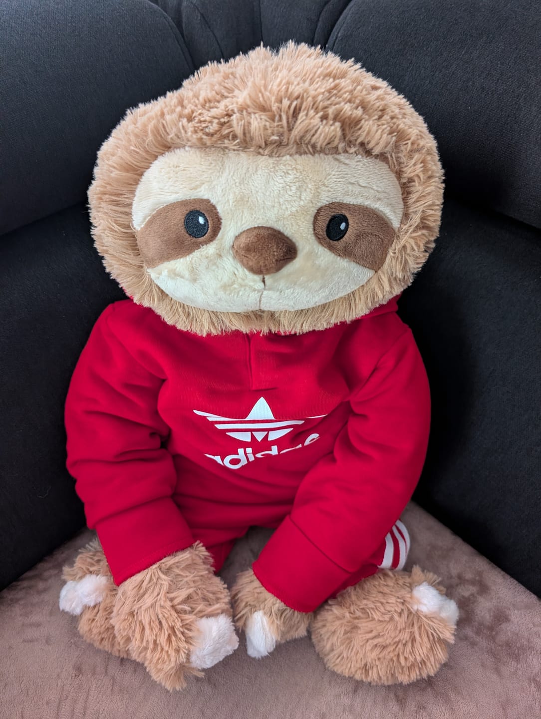 Customer photo review of Lotgenootje Luiaard 2,5kg