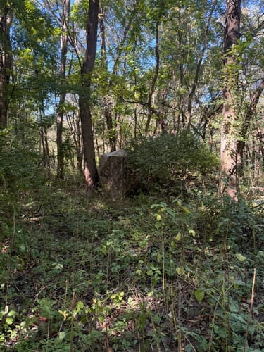 Customer photo review of VisTall 360 See-Through Ground Blind | 75-Inch 3 Person Pop Up Deer Blind with No-Trip Door | Portable Camo Hunting Blind with Blackout Curtain for Whitetail Deer Hunting