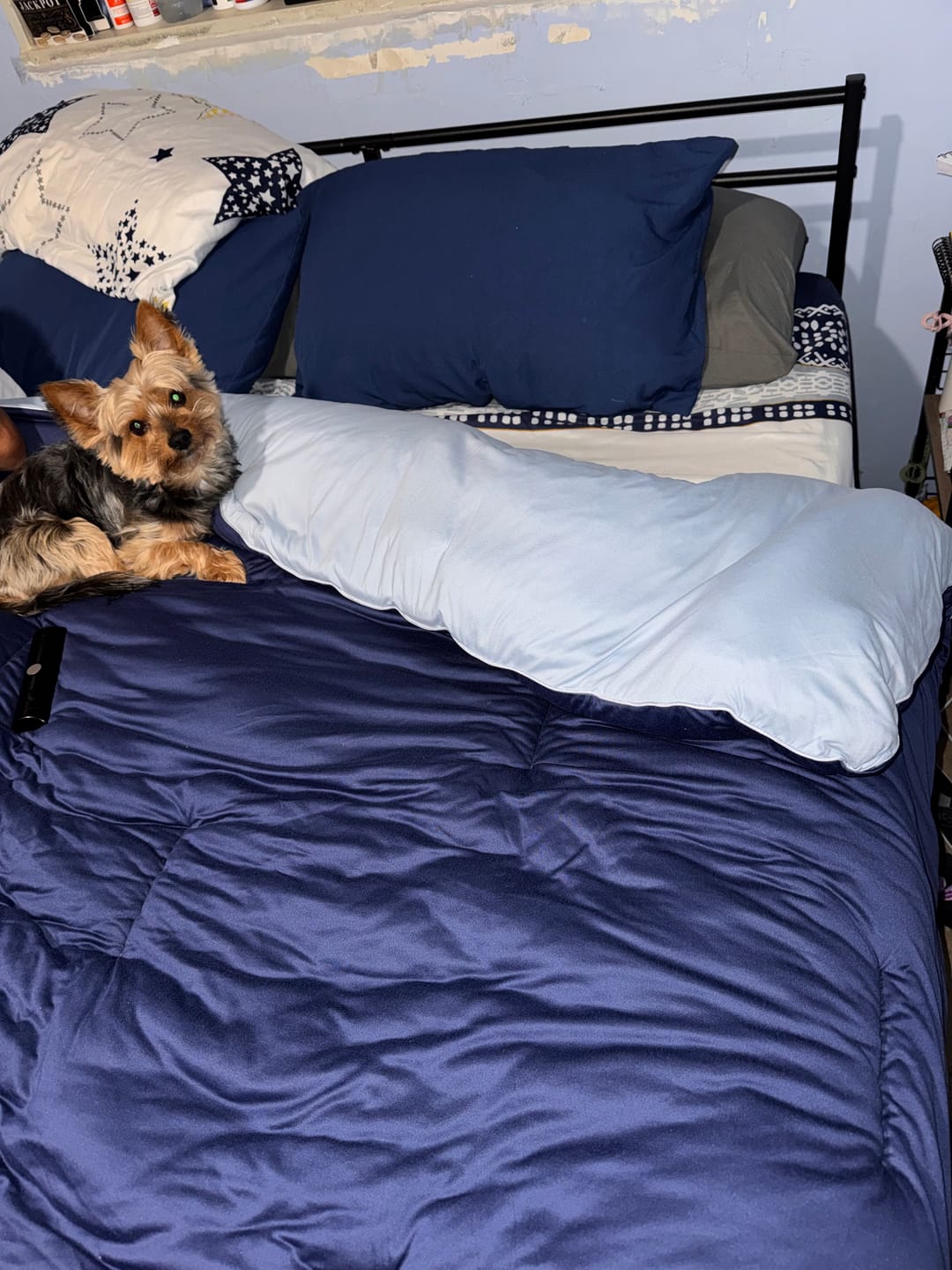 Customer photo review of MarshMellow Comforter