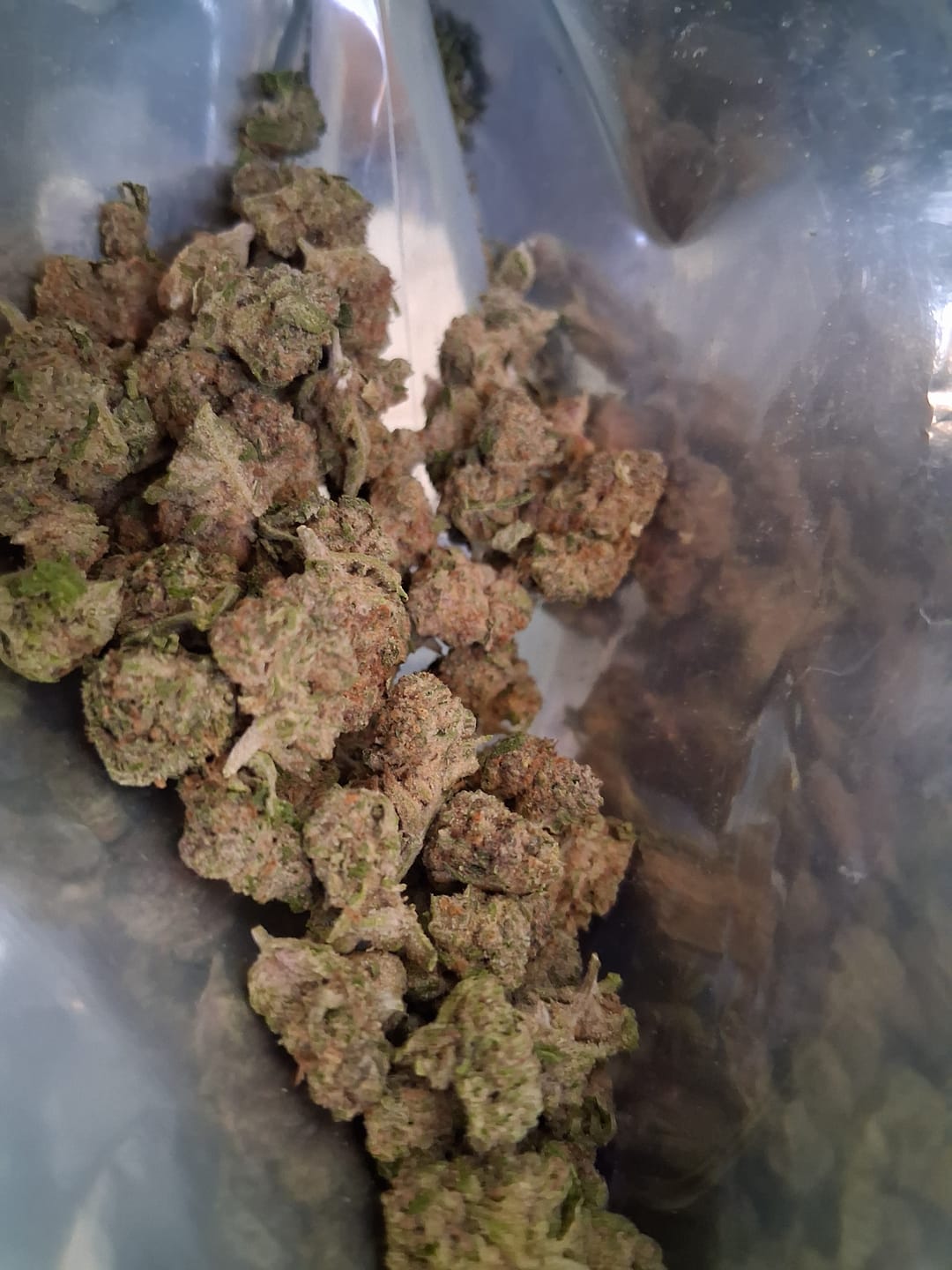 Customer photo review of Toad Crossing THCA Flower - Cheap Oz
