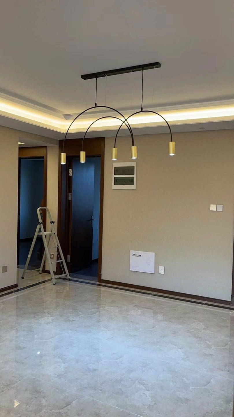 Customer photo review of Arch Pendant Light, Adjustable Spot Heads, Black or Gold